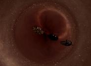 2017-06-23%2003-55-27%20Sagittarius%20A%20star.jpg