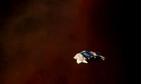 2017-07-19%2023-01-23%20GM%20Cephei.jpg