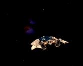 2017-07-12%2002-35-06%20Flaming%20Star%20Sector%20LX-T%20b%203-0.jpg