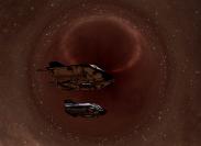 2017-06-23%2001-46-32%20Sagittarius%20A%20star.jpg