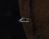 2019-05-04%2013-22-49%20Beagle%20Point.jpg