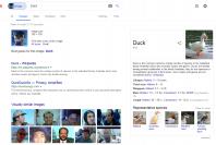 oldduck-avatar-google.png
